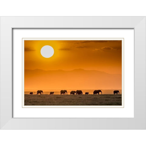 Sunrise Over Amboseli White Modern Wood Framed Art Print with Double Matting by C. Sink, Jeffrey