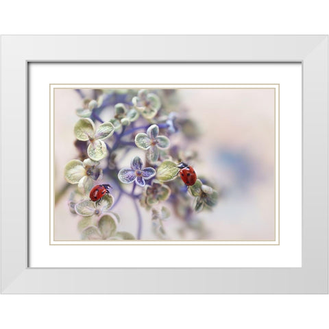 Fragile White Modern Wood Framed Art Print with Double Matting by Van Deelen, Ellen
