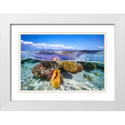 Lagoon Life White Modern Wood Framed Art Print with Double Matting by Gabriel, Barathieu