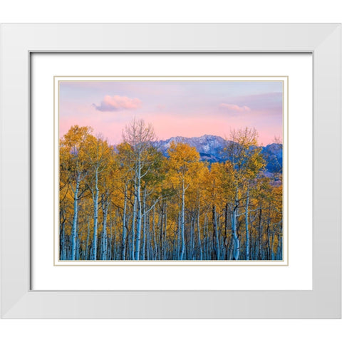 Autumn Delight White Modern Wood Framed Art Print with Double Matting by Fan, John