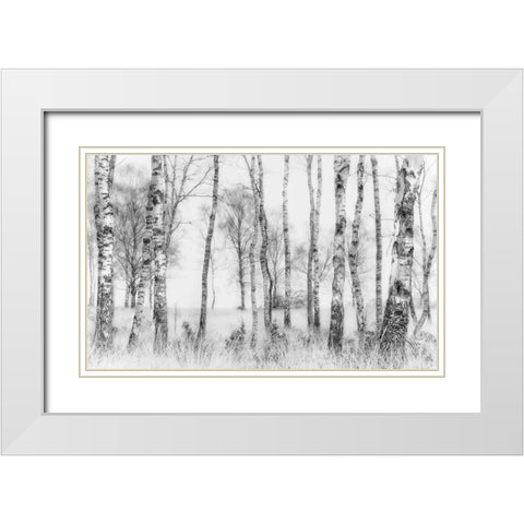Black And White White Modern Wood Framed Art Print with Double Matting by Talen, Nel
