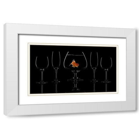 Glass Fish White Modern Wood Framed Art Print with Double Matting by Swid, Saleh
