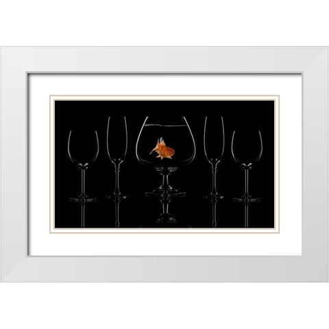 Glass Fish White Modern Wood Framed Art Print with Double Matting by Swid, Saleh