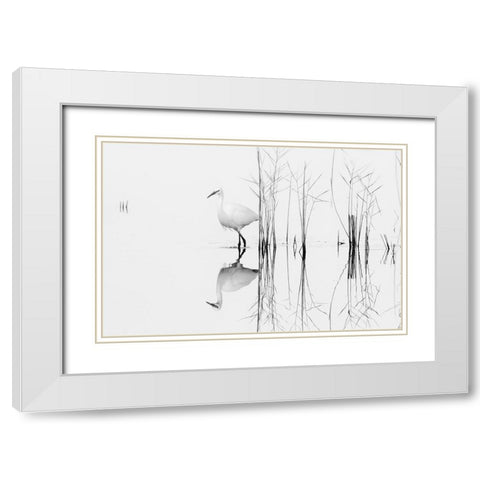 White White Modern Wood Framed Art Print with Double Matting by Planinski, Zhecho
