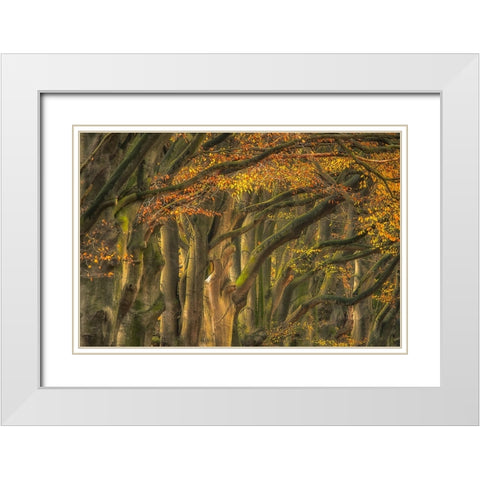 Approve Autumn .......... White Modern Wood Framed Art Print with Double Matting by Haaksma, Piet