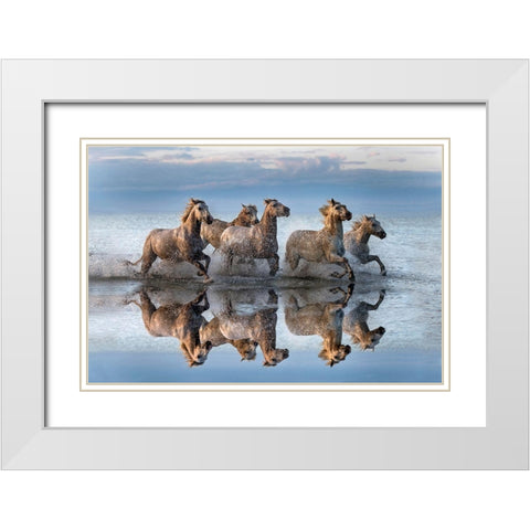 Horses And Reflection White Modern Wood Framed Art Print with Double Matting by Ortega, Xavier