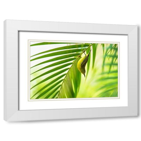 50 Shades Of Green White Modern Wood Framed Art Print with Double Matting by Bariviera, Daniele