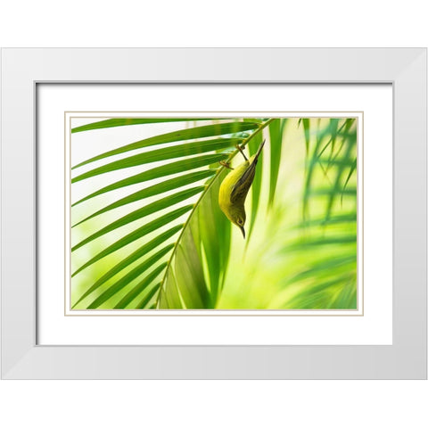 50 Shades Of Green White Modern Wood Framed Art Print with Double Matting by Bariviera, Daniele