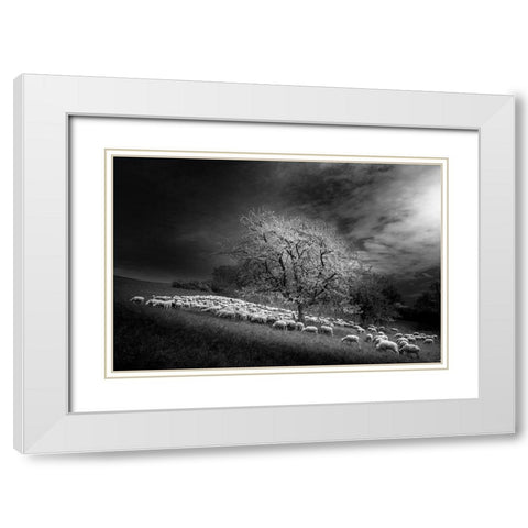 Rural Scene White Modern Wood Framed Art Print with Double Matting by Gallo, Rasto