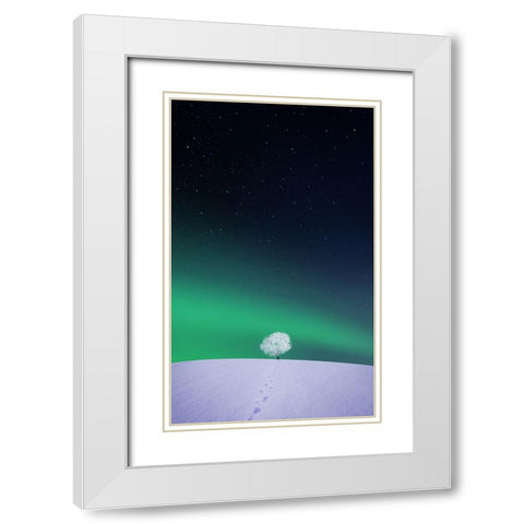 Apple White Modern Wood Framed Art Print with Double Matting by Hamiti, Bess
