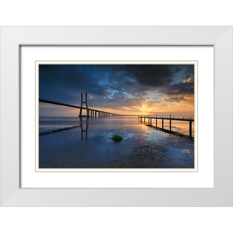 P H Y S I C A L White Modern Wood Framed Art Print with Double Matting by Resende, Carlos