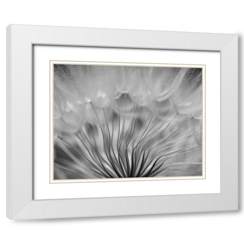 Dream White Modern Wood Framed Art Print with Double Matting by Or, Keren