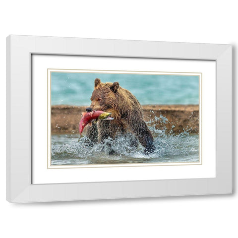 Fishing - Kamchatka-Russia White Modern Wood Framed Art Print with Double Matting by Damico, Giuseppe