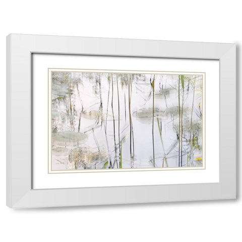Lily Leaves White Modern Wood Framed Art Print with Double Matting by Talen, Nel