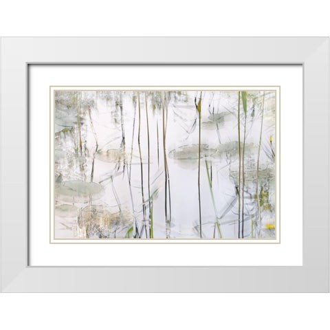 Lily Leaves White Modern Wood Framed Art Print with Double Matting by Talen, Nel
