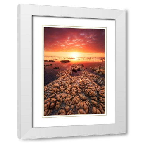 Low Tide On The Lagoon Of Saint Leu. White Modern Wood Framed Art Print with Double Matting by Gabriel, Barathieu