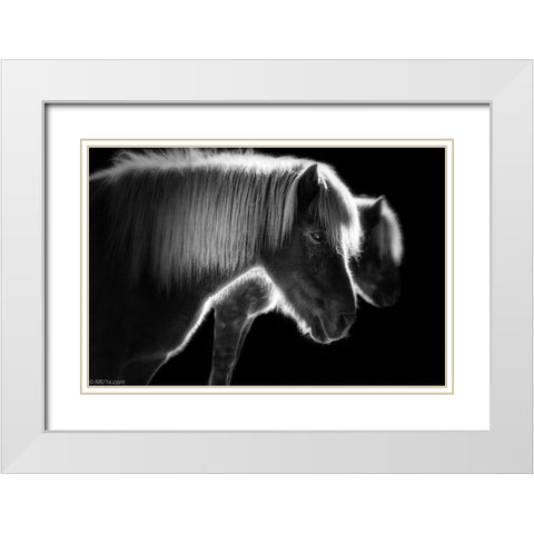 Two Beautiful Horses White Modern Wood Framed Art Print with Double Matting by Keller, Nic