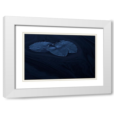 Leaf White Modern Wood Framed Art Print with Double Matting by Wallberg, Allan