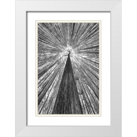 The Giant White Modern Wood Framed Art Print with Double Matting by Casanova, Francois