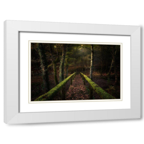 The Way To The Forest White Modern Wood Framed Art Print with Double Matting by Mendoza, Chencho