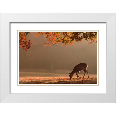 First Autumn White Modern Wood Framed Art Print with Double Matting by Matsui, Yoshinori