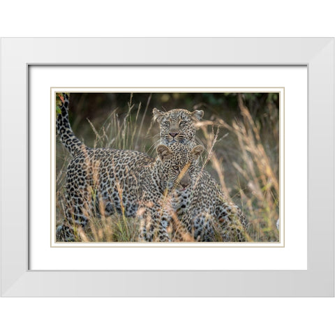 Mother And Daughter White Modern Wood Framed Art Print with Double Matting by C. Sink, Jeffrey