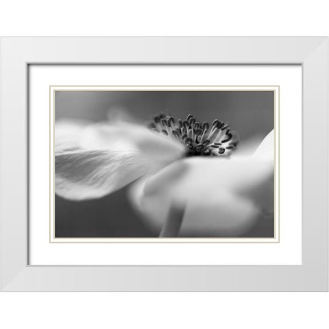 Untitled White Modern Wood Framed Art Print with Double Matting by Or, Keren
