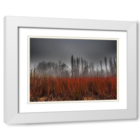 Untitled White Modern Wood Framed Art Print with Double Matting by Ruiz Rivas, Ja