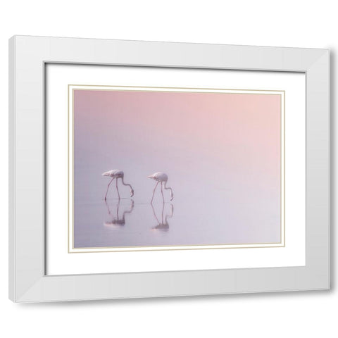 Serenity 3 White Modern Wood Framed Art Print with Double Matting by Thabet, Ahmed