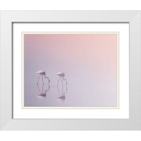 Serenity 3 White Modern Wood Framed Art Print with Double Matting by Thabet, Ahmed