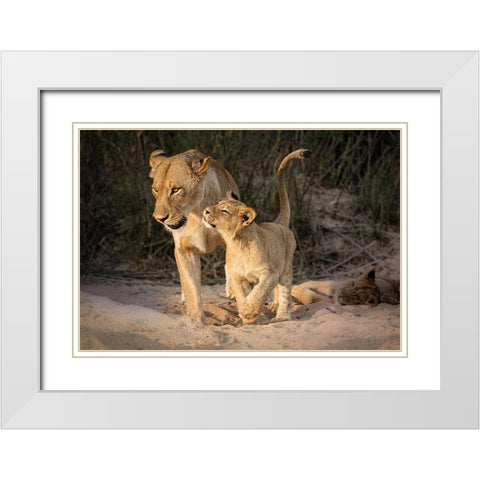 Happy White Modern Wood Framed Art Print with Double Matting by Bonadio, Heather