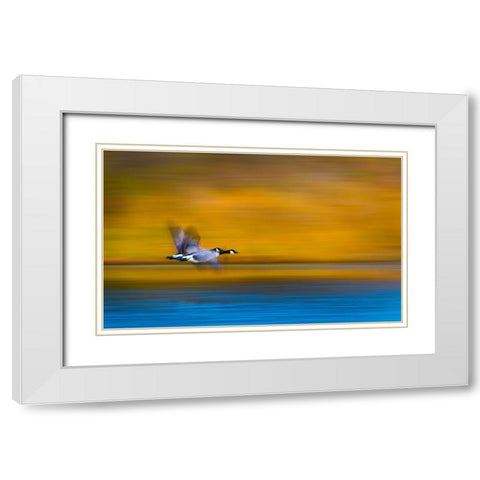 Dream Couple White Modern Wood Framed Art Print with Double Matting by Wang, Kevin