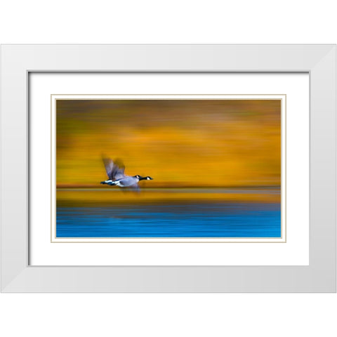 Dream Couple White Modern Wood Framed Art Print with Double Matting by Wang, Kevin