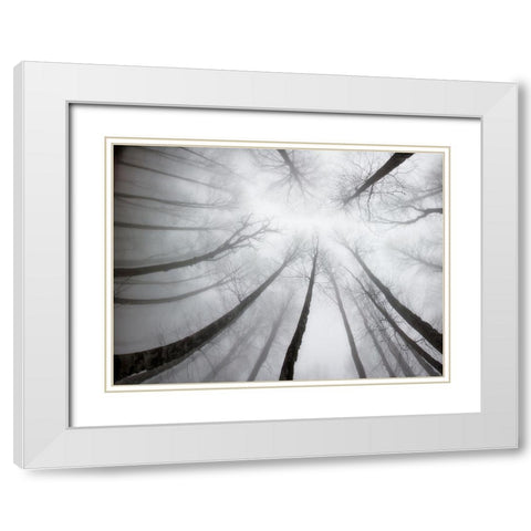 Nerves White Modern Wood Framed Art Print with Double Matting by Aminelahi, Armin