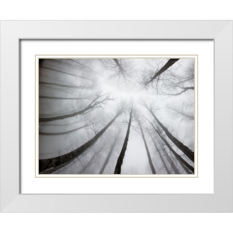 Nerves White Modern Wood Framed Art Print with Double Matting by Aminelahi, Armin