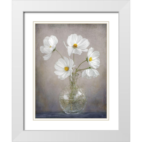 Simply Cosmos White Modern Wood Framed Art Print with Double Matting by Disher, Mandy