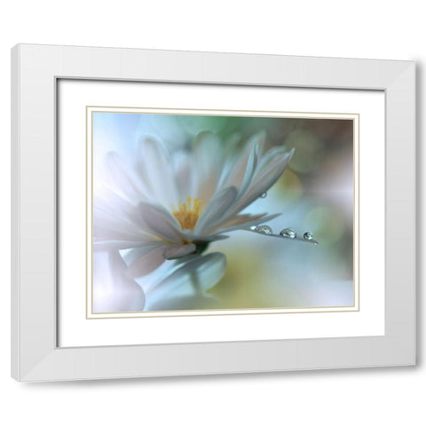 Light Touch... White Modern Wood Framed Art Print with Double Matting by Nan, Juliana