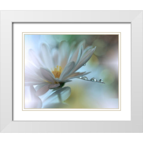 Light Touch... White Modern Wood Framed Art Print with Double Matting by Nan, Juliana
