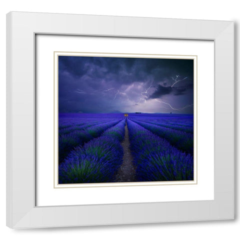 Wetter Im Lavendelfeld White Modern Wood Framed Art Print with Double Matting by Schumacher, Nicolas