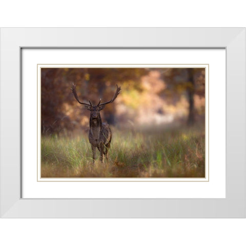 Posing White Modern Wood Framed Art Print with Double Matting by Mastahac, Sebastian