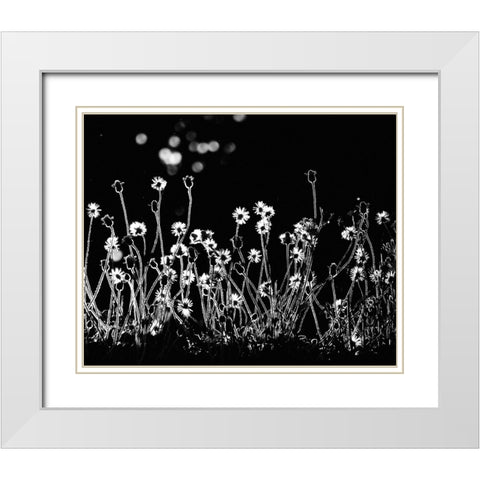 The Little Flowers White Modern Wood Framed Art Print with Double Matting by Lagaa, Kahar