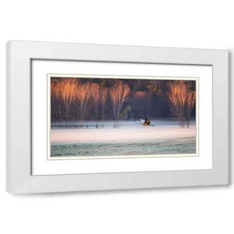 Lonely Flyer White Modern Wood Framed Art Print with Double Matting by Luo, Jane