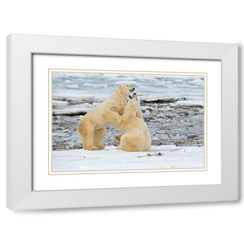 Big Boys White Modern Wood Framed Art Print with Double Matting by Pozzi, Marco