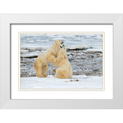 Big Boys White Modern Wood Framed Art Print with Double Matting by Pozzi, Marco