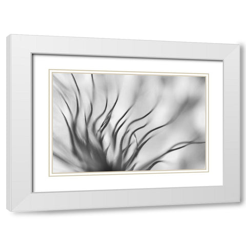Untitled White Modern Wood Framed Art Print with Double Matting by Or, Keren