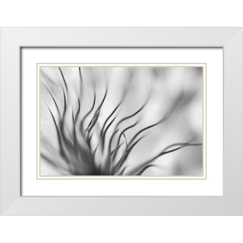 Untitled White Modern Wood Framed Art Print with Double Matting by Or, Keren