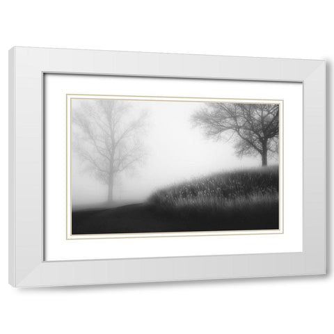 Foggy Morning White Modern Wood Framed Art Print with Double Matting by Huybrighs, Marc