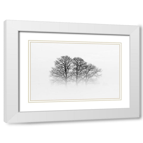 A Hazy Shade Of Winter White Modern Wood Framed Art Print with Double Matting by Buchmann, Oliver
