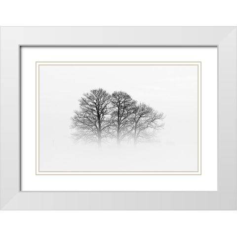 A Hazy Shade Of Winter White Modern Wood Framed Art Print with Double Matting by Buchmann, Oliver