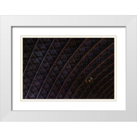 Roofing White Modern Wood Framed Art Print with Double Matting by Surleac, Marius